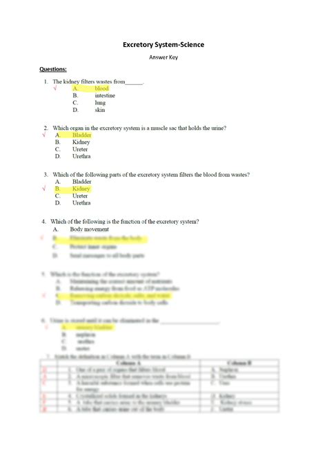 Read Excretory System Study Guide Answer Key 