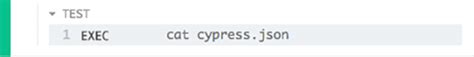 exec Cypress Documentation