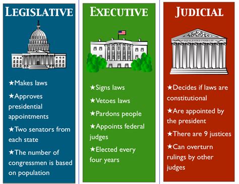 executive and legislative branch quizlet