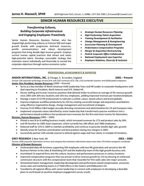 Executive Resume Examples And Template For 2023 Indeed Senior Executive Resume Template - Senior Executive Resume Template