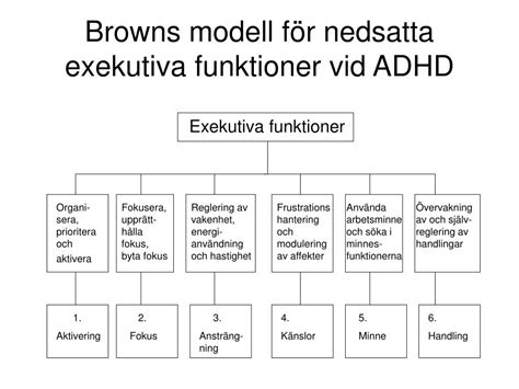 exekutiva funktioner adhd