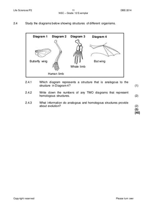 Exemplar Papers Grade 12 2014