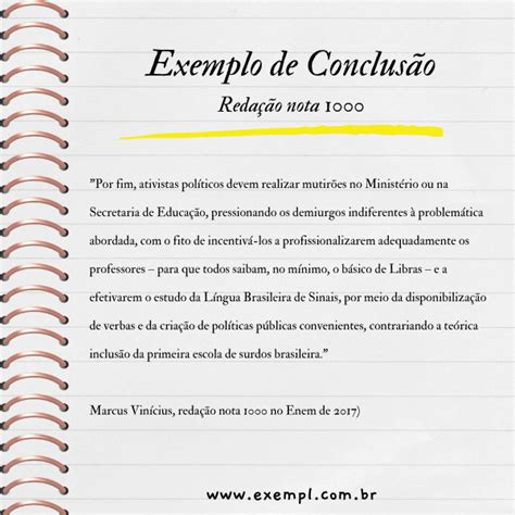 Exemplos De Conclusao