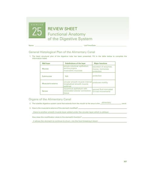 exercise 25 review sheet functional anatomy of the digestive system