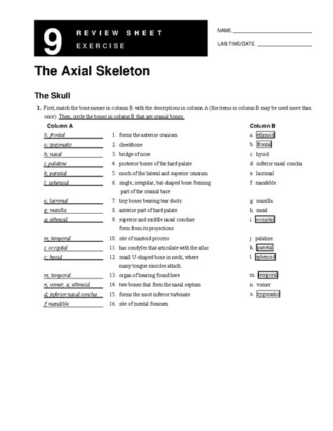 Exercise 9 The Axial Skeleton Answer Key