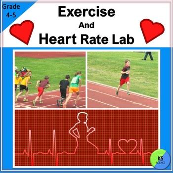 Exercise Amp Heart Rate Experiments Livestrong Heart Rate Science Experiment - Heart Rate Science Experiment