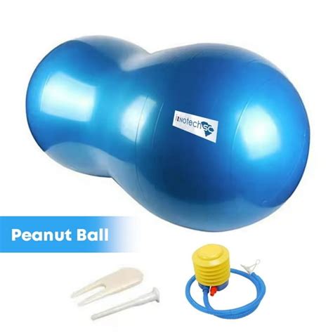 Exercise Ball Book