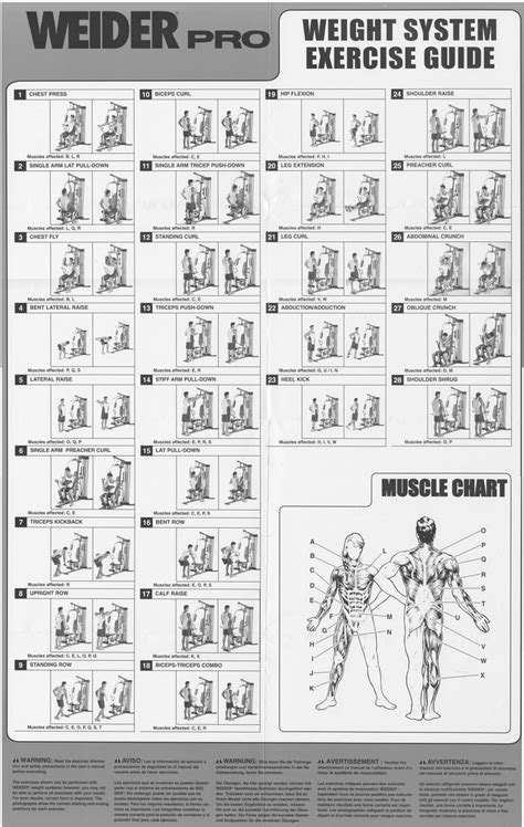 Exercise Chart For Weider 3650