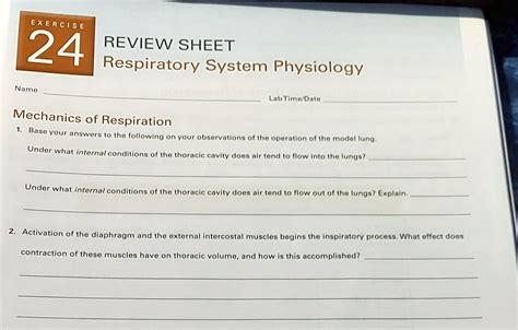 Download Exercise 24 Lab Respiratory System Physiology Answers 