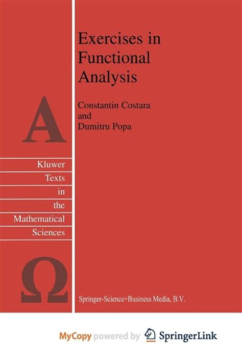 exercises in functional analysis 1st edition