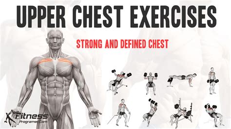 Exercises To Work Upper Chest