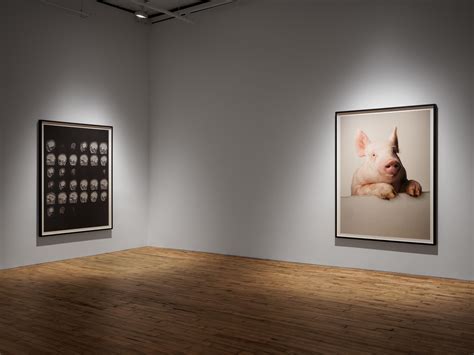 exhibition nudes