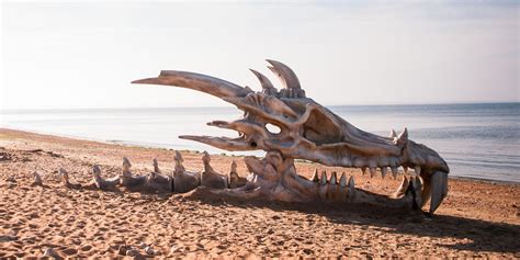 Existieron Los Dragones