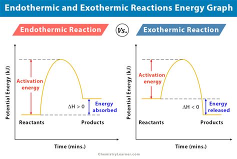 Exothermic Vs Endothermic Graph