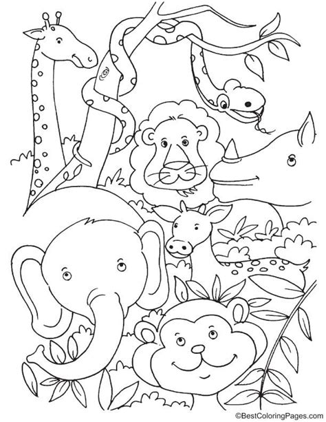 Exotic Amp Fun Jungle Animals Coloring Pages Printable Jungle Animals Coloring Pages - Printable Jungle Animals Coloring Pages