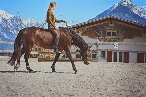 Experience Pure Bliss with Deep Joy Horse: Your Ultimate Guide to Equestrian Happiness