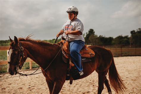 Experience the Deep Joy of Horse Riding with Our Expertly Trained Horses