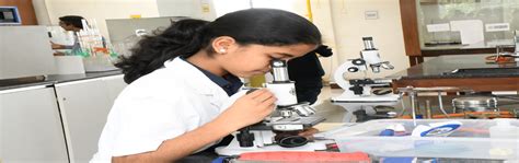 Experiment Alpha 7th Grade Bengaluru Meraevents Com 7th Grade Science Experiment - 7th Grade Science Experiment