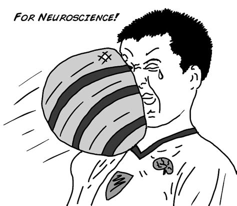 Experiment How Fast Your Brain Reacts To Stimuli Reaction Time Science Experiments - Reaction Time Science Experiments