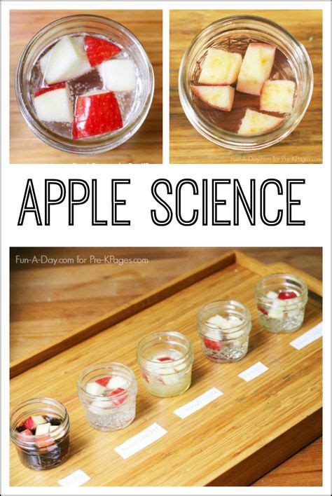 Experiment With Fruits And Vegetables Science Projects Fruit Science Experiments - Fruit Science Experiments