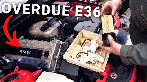 Read Online Expert Guide E36 318Is Italian Hands 
