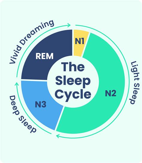explain deep light and rem sleep training