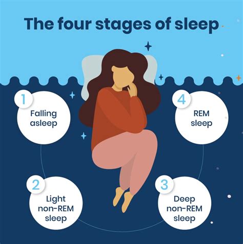 explain deep light and rem sleep