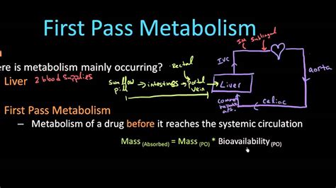 explain first pass metabolism formula calculator