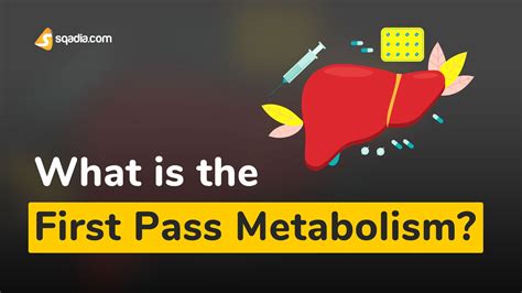 explain first pass metabolism formula chart free