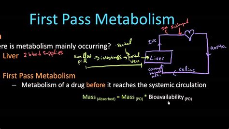 explain first pass metabolism formula chart printable