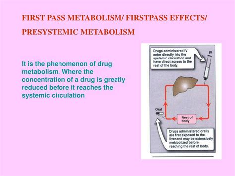 explain first pass metabolism formula pdf download