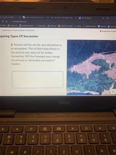 Explain How Human Activity Can Affect The Carbon Cycle