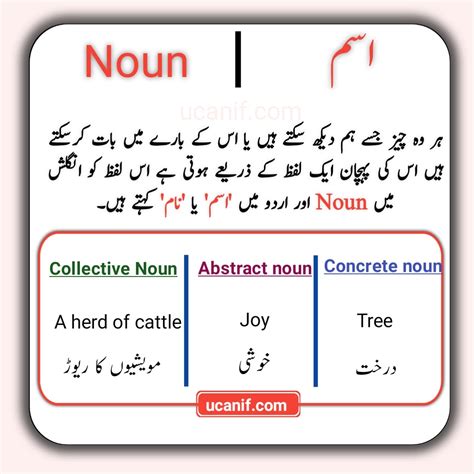 explain in urdu