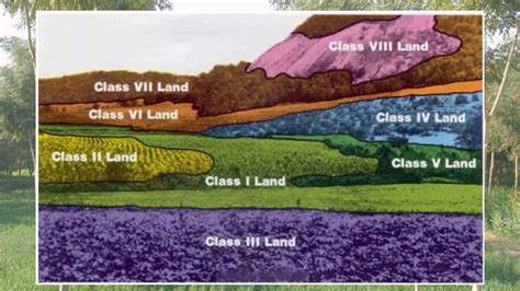 Explain Land Use Pattern In India