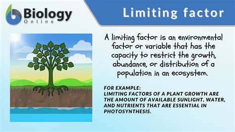 Explain Limiting Factors