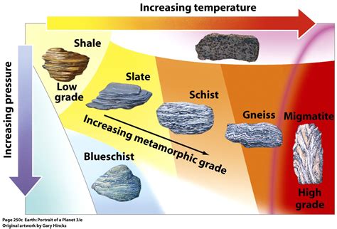 explain why absolute dating occurs in igneous and metamorphic rocks only