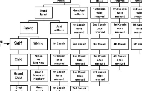 explanation of first second and third cousins list