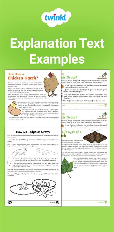 explanation text examples for kids