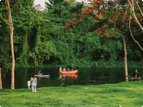 nature photo by Dario Pacocha