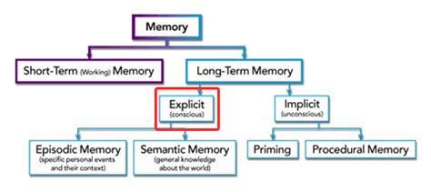 Explicit Memory Examples