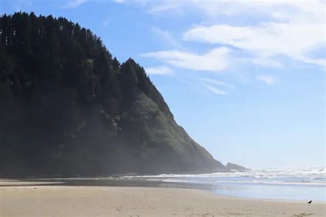 exploding whale oregon