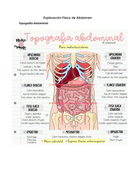 Exploracion De Abdomen