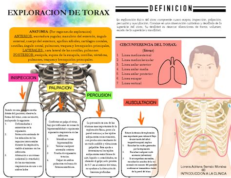 Exploracion De Torax