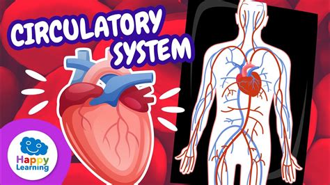 Explore Learning Circulatory System