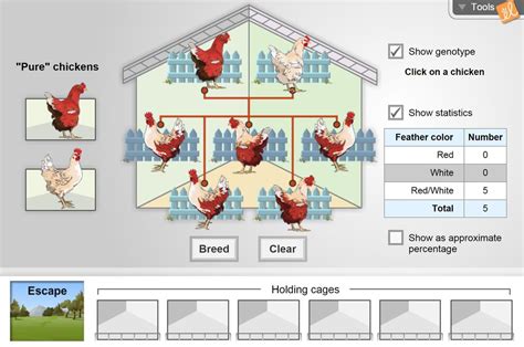 Explore Learning Gizmo Chicken Genetics Answer Key