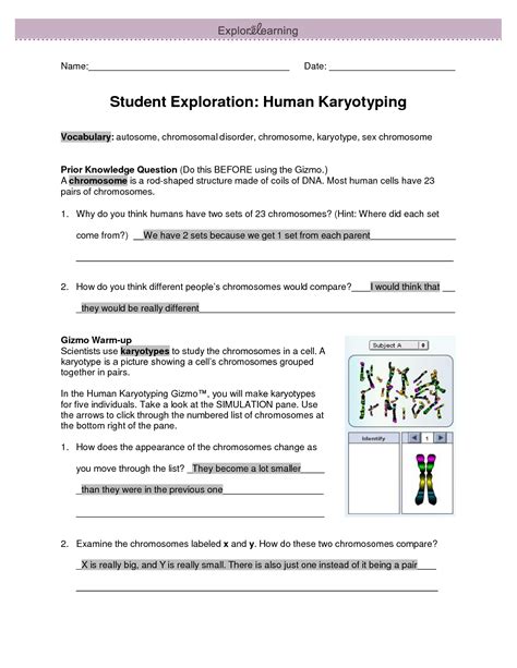 Explore Learning Human Karyotyping Answers