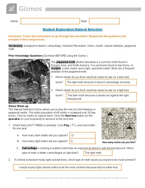 explore learning natural selection gizmo answer key