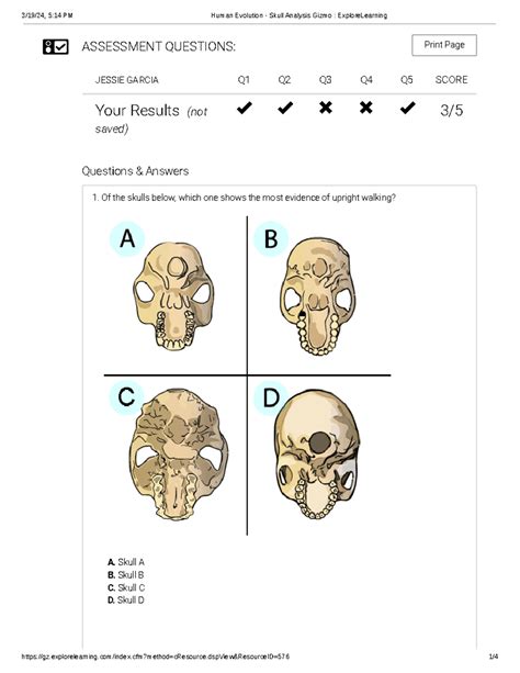 explore learning skull analysis answer key
