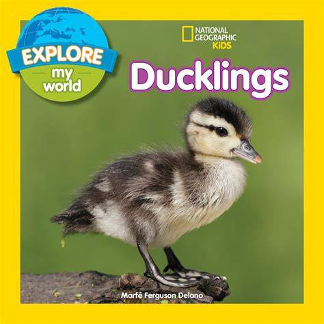 explore my world ducklings explore my world