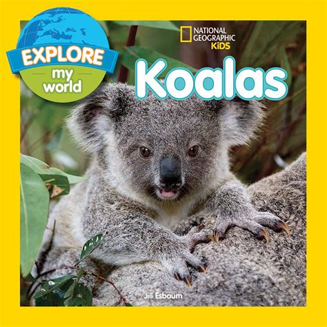 explore my world koalas